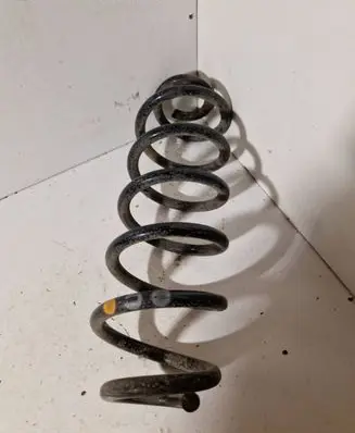 Rear coil spring