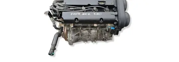 Ford Fiesta Engine swap 8A6G6007AA