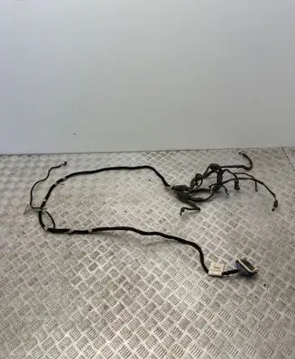 Maserati Quattroporte Other wiring loom 209499 100204 081204