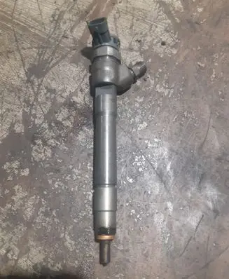 Renault Trafic III (X82) Fuel injector 0445110546