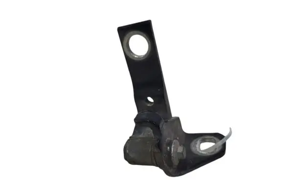 Rear door lower hinge