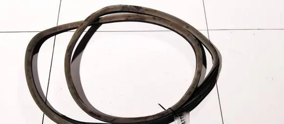 Renault Laguna II Rubber seal rear door 