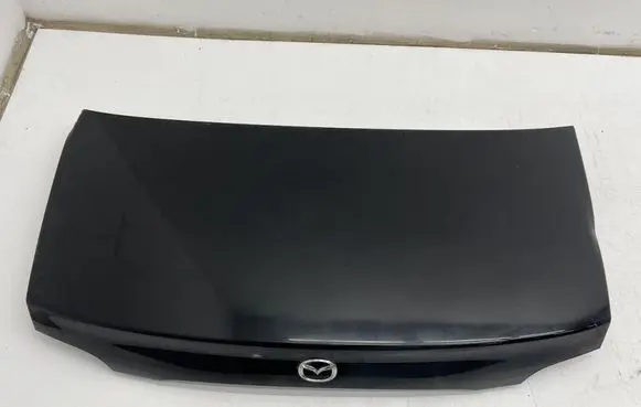 Tailgate/trunk/boot lid