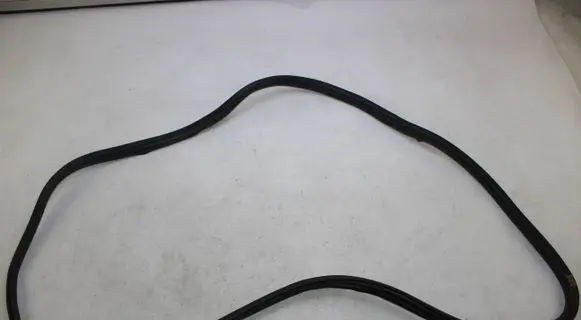 BMW X3 F25 Front door rubber seal 7311258