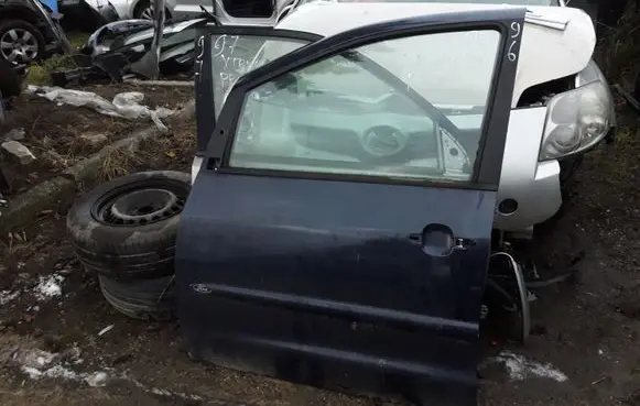 Ford Galaxy Front door