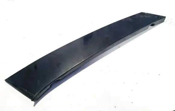 Other rear door trim element