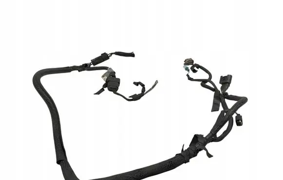 BMW 6 E63 E64 Wiring harness 6962302