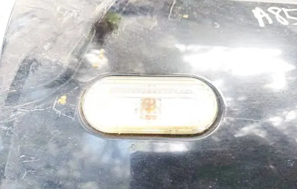 Ford Focus Front fender indicator light