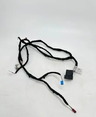 Front door wiring loom