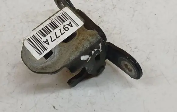 Chrysler Sebring (ST-22 - JR) Rear door lower hinge
