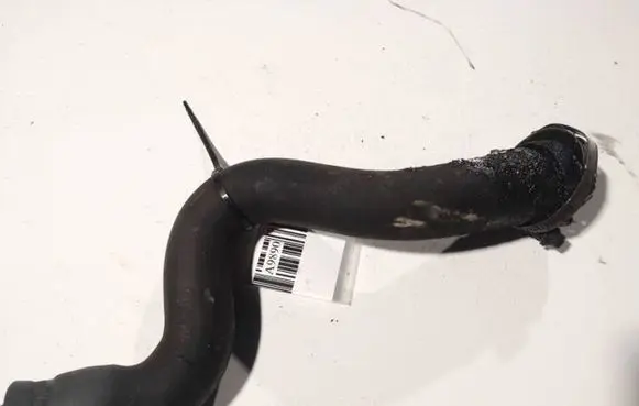 Citroen Berlingo Intercooler hose/pipe