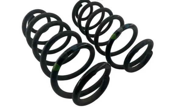 Rear coil spring