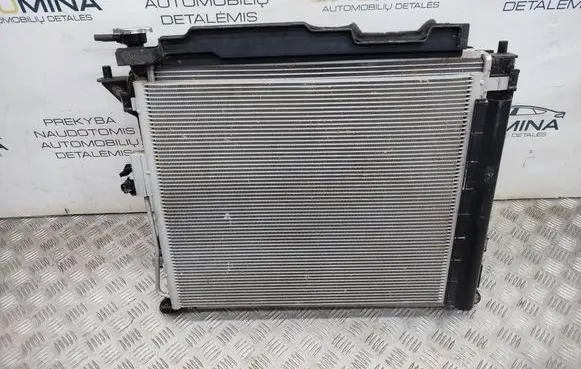 Hyundai Santa Fe Radiator set 253102W971 291362W000
