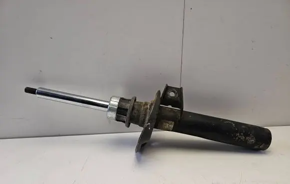 Volkswagen Golf V Front shock absorber/damper 301693 11634028