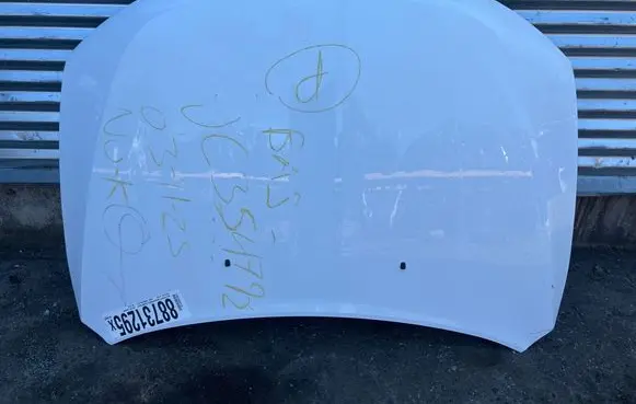 Engine bonnet/hood