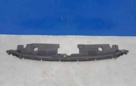 Engine bonnet/hood lock trim molding