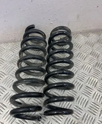 Rear coil spring