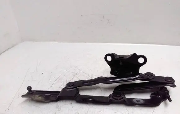 Chrysler 300 - 300C Tailgate/trunk/boot hinge 76LSN7N