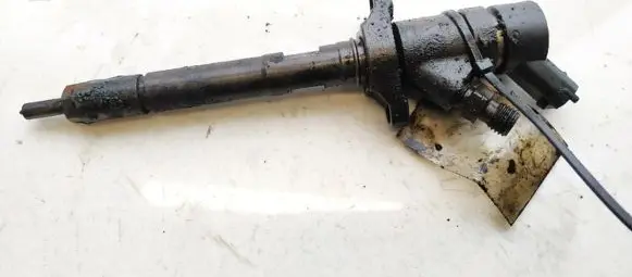 Peugeot 407 Fuel injector 0445110188 025fbf303