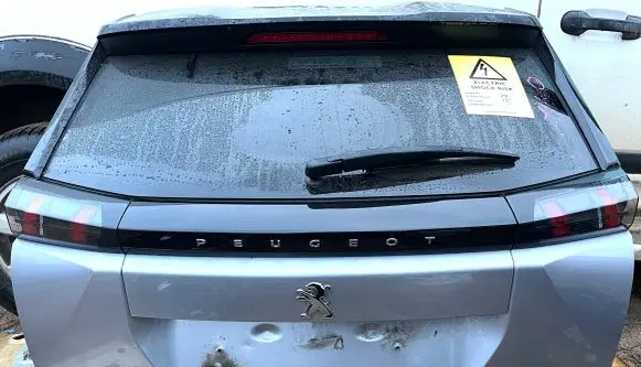 Tailgate/trunk/boot lid