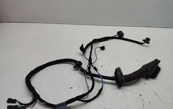 BMW 3 E46 Front door wiring loom 6913079 13318810 2D070126