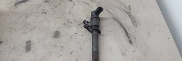Volvo V70 Fuel injector 0445110298