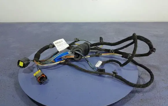Other wiring loom