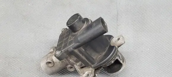 Dacia Sandero III EGR valve 70036801