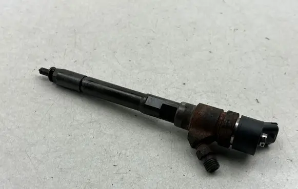 Chevrolet Captiva Fuel injector 0445110270