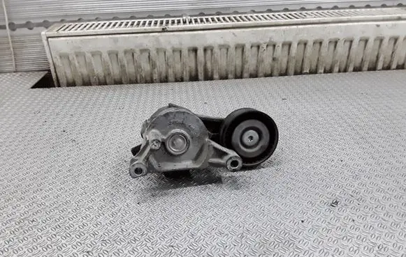 Skoda Octavia Mk2 (1Z) Generator/alternator belt tensioner 950445