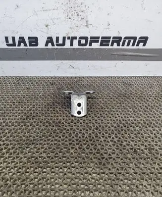 Nissan Qashqai Front door lower hinge 