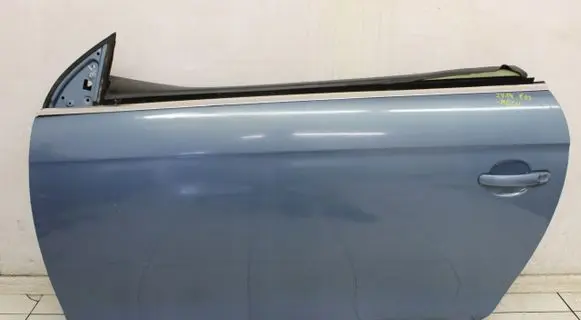 Volkswagen Eos Rear door