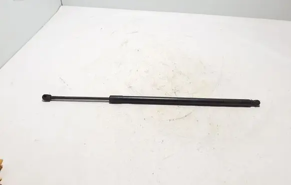 Tailgate strut