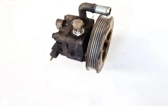 Suzuki Grand Vitara II Power steering pump 