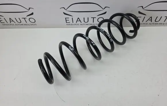 Rear coil spring