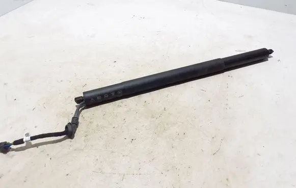 Tailgate strut