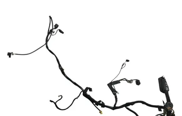 Front door wiring loom