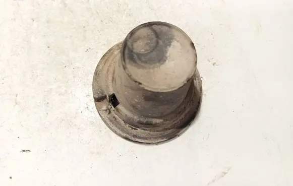 Ford Focus Front coil spring rubber mount 