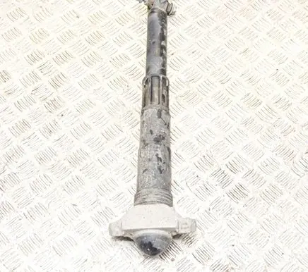 Volkswagen ID.3 Rear shock absorber/damper 1EA512011AD 1EA513423F