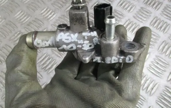 Thermostat/thermostat housing