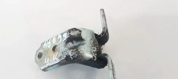 KIA Carens II Rear door lower hinge