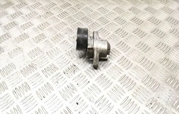 Dacia Sandero Generator/alternator belt tensioner