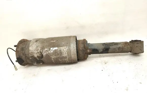 Land Rover Range Rover Sport L320 Air suspension front shock absorber 22249855