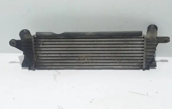 Renault Kangoo I Intercooler radiator 8200140970