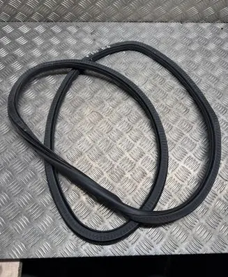 Fiat 500X Rear door rubber seal (on body) 