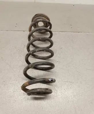 Rear coil spring