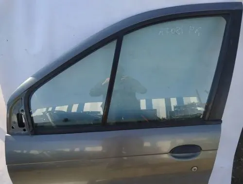 Renault Scenic I Front door pilkos