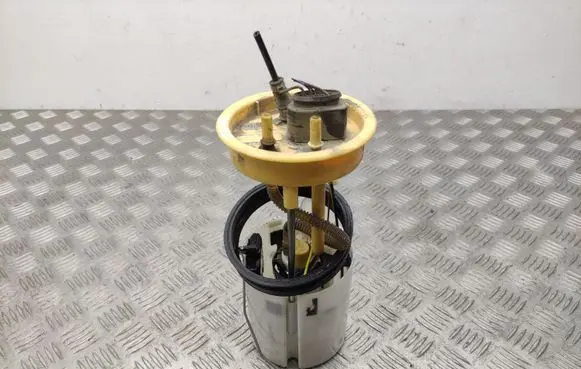 Volkswagen Touran II In-tank fuel pump 1T0919050F
