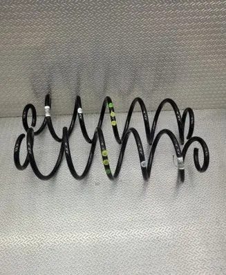 Rear coil spring