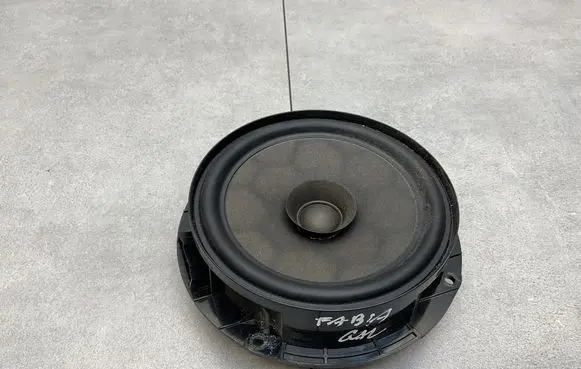 Skoda Fabia Mk3 (NJ) Rear door speaker 